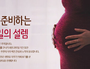한국솔가 미혼모 응원캠페인 성공적으로 마무리