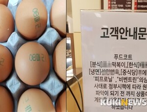 살충제 계란 파문에 인플루엔자 백신 걱정도 늘어