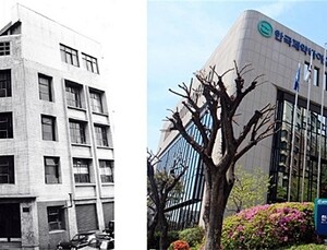 한국 제약산업 69년…생산 11만배, 수출 4만배 급성장