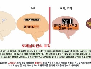 지엔티파마, 세계 최초 반려견 치매치료제 국내 시판 예정