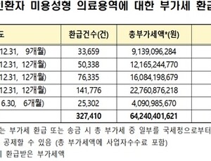 올해 성형하러 한국 온 외국인수 절반  뚝 