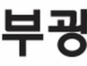 부광약품, 250억원 규모 자사주 매입후 전량 소각