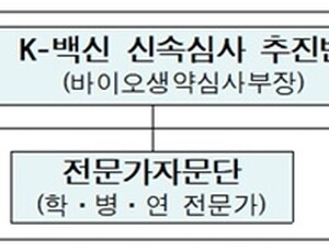 'K-백신 신속심사 추진반' 운영…제품화 전담 지원