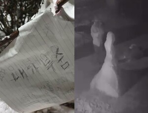 “내가 부숨ㅋ” 눈사람 파괴자들의 이유 있는 주먹질