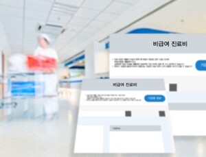 사망 환자 실손보험 청구도 불가…‘본인부담상한제’ 탓