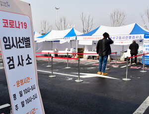 서울시, 고양이 코로나19 확진사례 나와