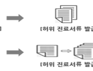 국민건강보험공단, 금감원‧보험협회와 보험사기 공동조사 협력