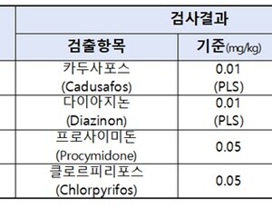 머위, 취나물 등 봄나물 4종 '잔류농약' 기준 초과 검출 