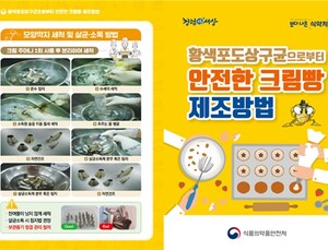 SNS 인기 주문 '케이크' 식중독균·소브산 검출…21개 제품 처분