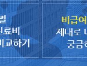 의원 '비급여 진료비' 공개 연기... 의료계 눈치보나