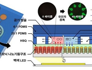 코로나19 초고속 검사 기술 나왔다…'나노 플라즈모닉 구조' 활용
