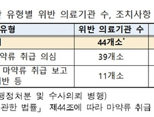 청소년에 '펜타닐 패치' 처방…마약류 오남용 의심 병원 44개소 적발