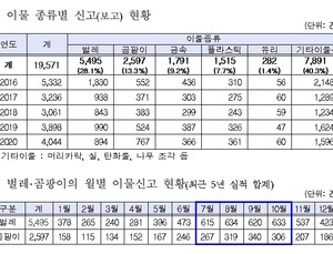 식품에 벌레·곰팡이가…여름철 달달한 시리얼·음료수 보관 주의