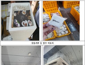 유통기한 지난 버터, 작업장엔 곰팡이…'기내식 업체·떡공방형제' 적발