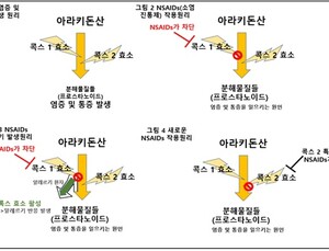 [건강나침반] 백신 접종 후 소염진통제 먹었는데 알레르기 반응 나타나면?