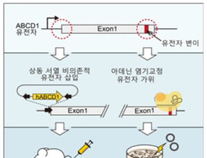 로렌조 오일병, 유전자 교정으로 치료 가능성 확인