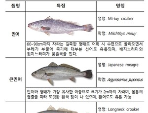 온라인 판매 민물장어서 '항균제' 초과검출…가짜 민어도 적발