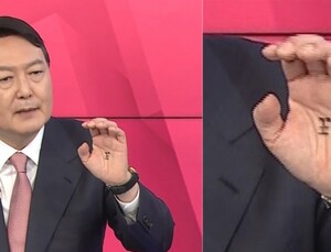 [국감 2021] “윤석열 ‘王’자 논란, 손 씻기 방법 홍보 강화해달라”