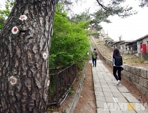 정부 “가을 단풍철 여행으로 인한 코로나19 추가 확산 방지하겠다”