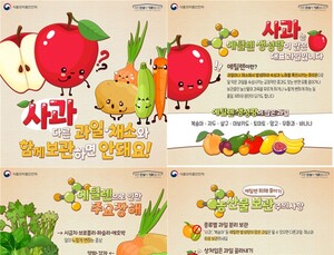 사과를 감·배 등 다른 과일 함께 보관하면 망가지는 이유