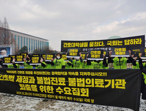간호법 제정 논의, 결국 내년으로
