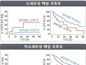 폐암 방사선 치료 ‘심방세동’ 유발 예측인자 규명