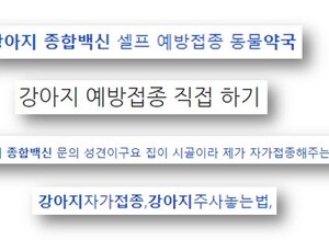 반려견·반려묘 백신, ‘셀프 접종’ 못 한다