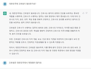 챗GPT에 ‘간호법’ 물어보니…“국회 제정 필요” 