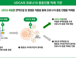대웅제약 “우루사 주성분, 코로나19 중증 위험도 33% 낮춰”
