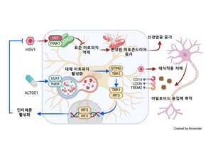 “바이러스 감염, 알츠하이머 가속화…‘ALT001’로 제어 효과”