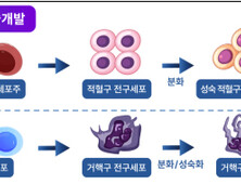 식약처, ‘세포 기반 인공혈액’ 첨단바이오의약품 분류