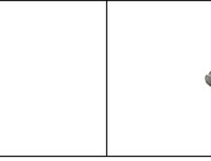복어독 20배 날개쥐치 “만지거나 먹지 마세요”