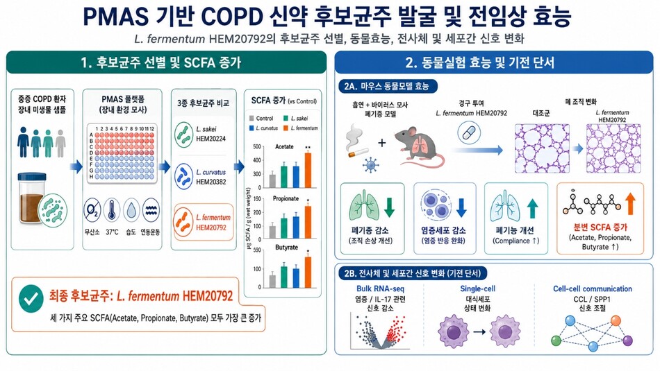 HEM파마 COPD 생균치료제 후보 균주 ‘HEM20792’ 전임상 효능 그래픽. HEM파마 제공