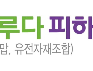 알테오젠 기술 적용 ‘키트루다 피하주사’ 국내 허가…4분기 출시